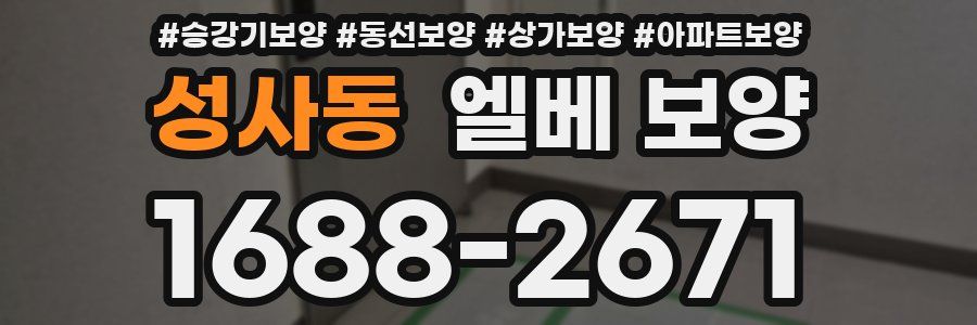 성사동 엘베 보양
