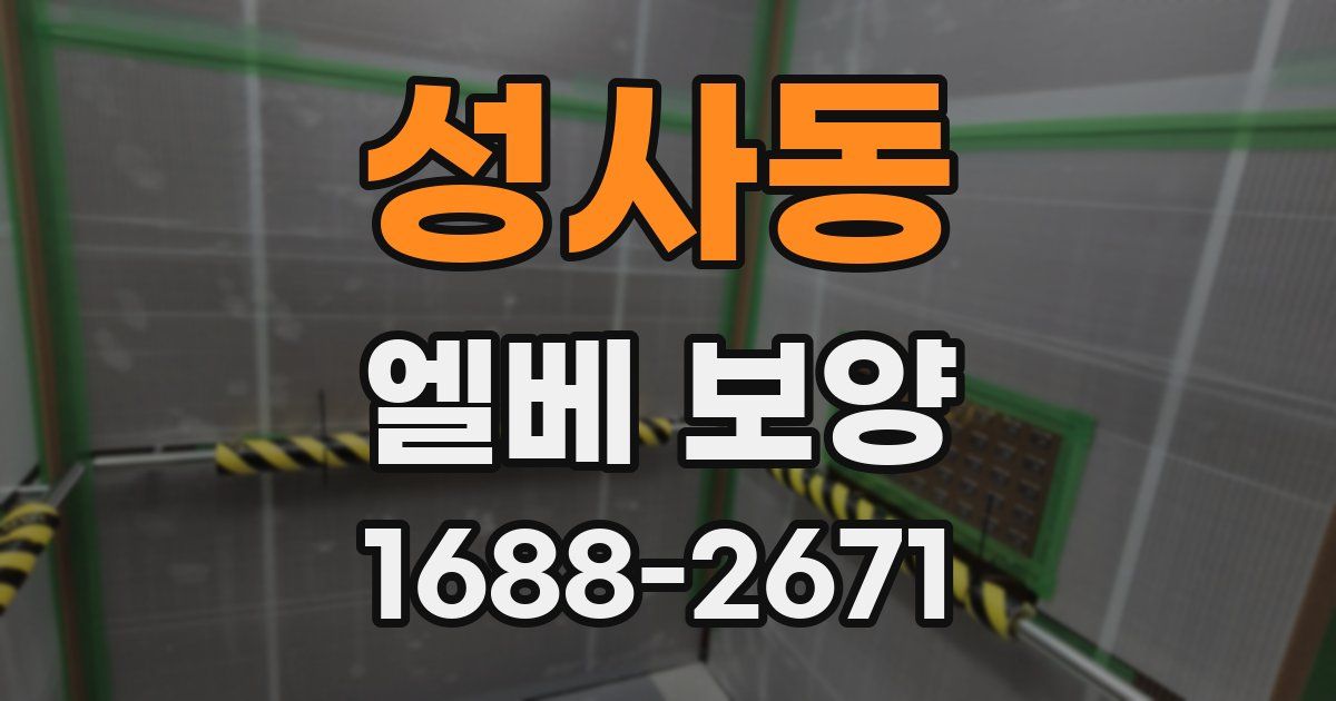 성사동 엘베 보양
