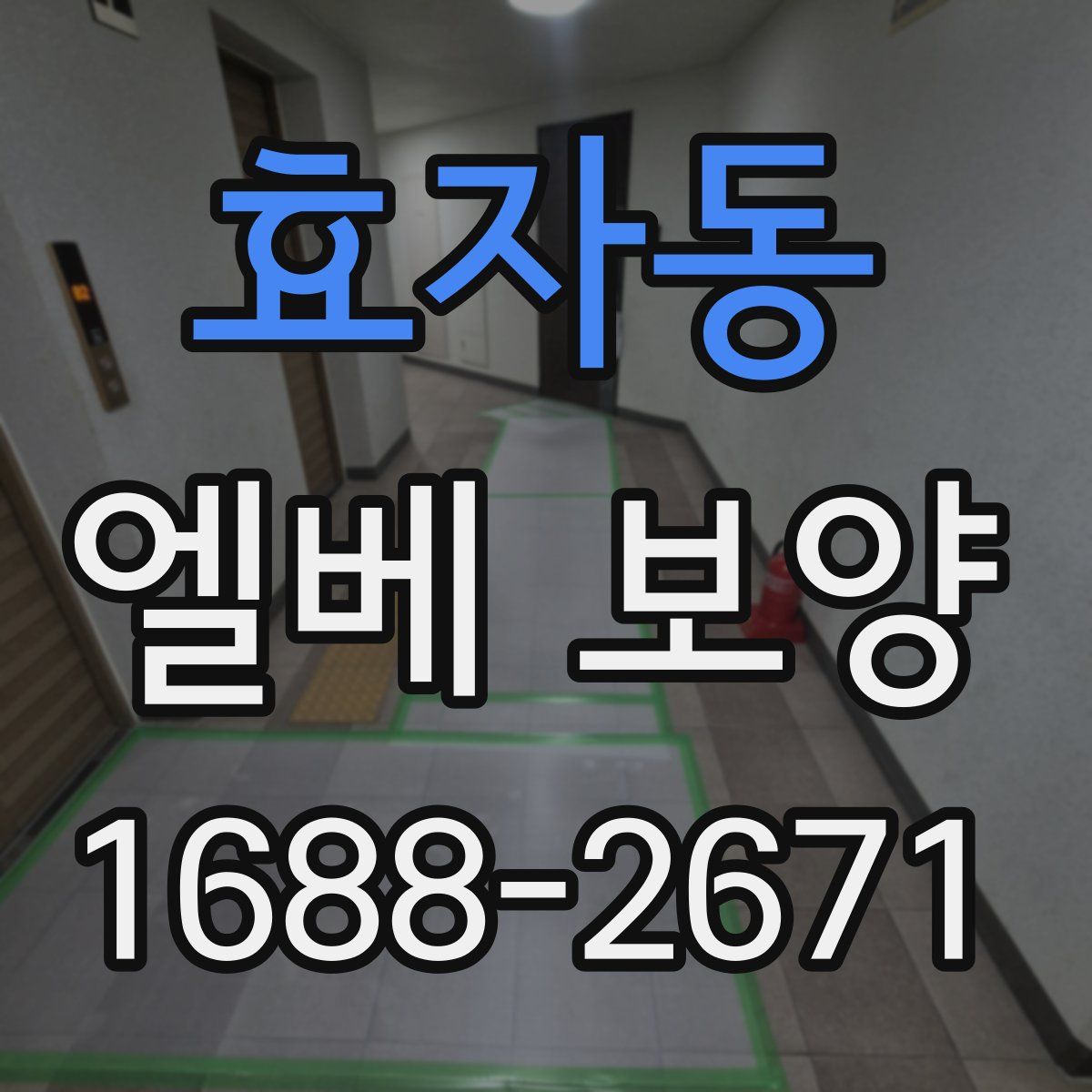 효자동 엘베 보양