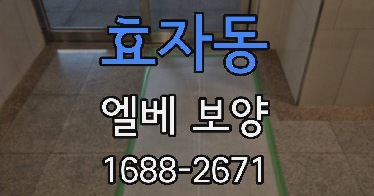 효자동 엘베 보양