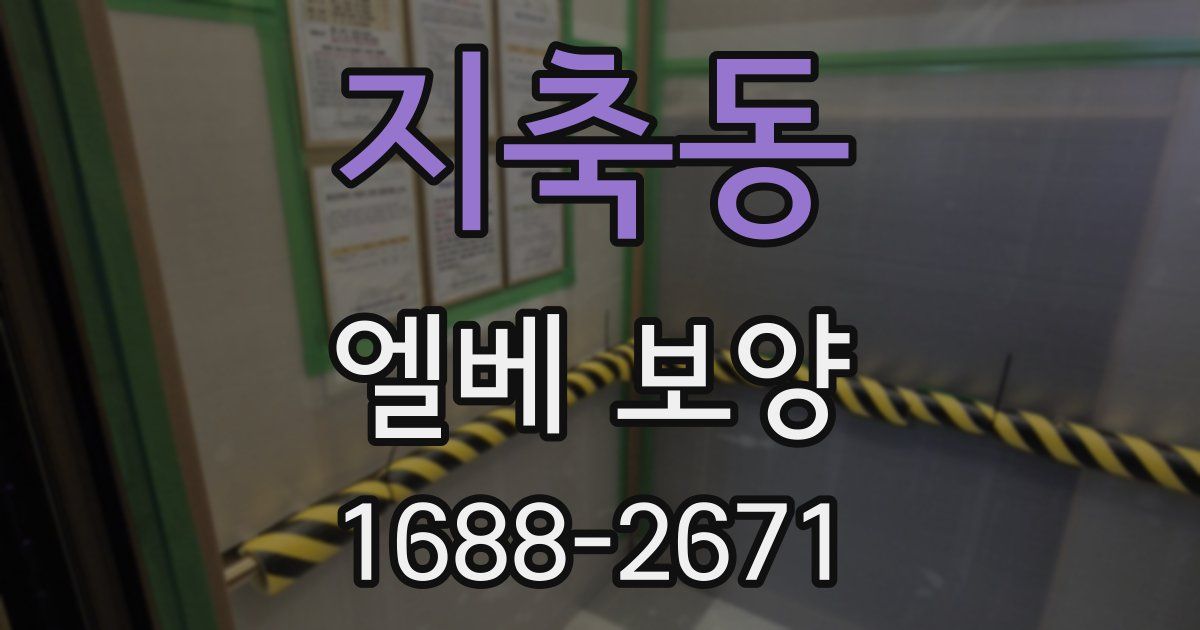 지축동 엘베 보양