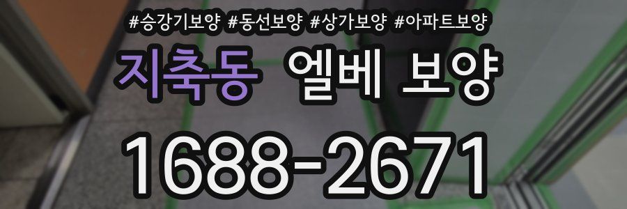 지축동 엘베 보양