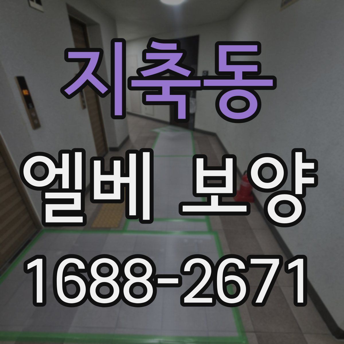 지축동 엘베 보양