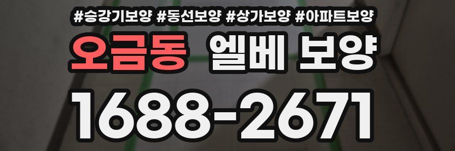 오금동 엘베 보양