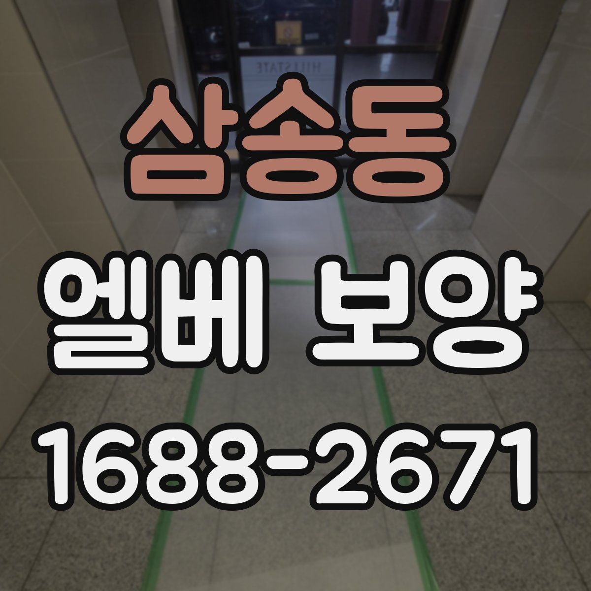 삼송동 엘베 보양