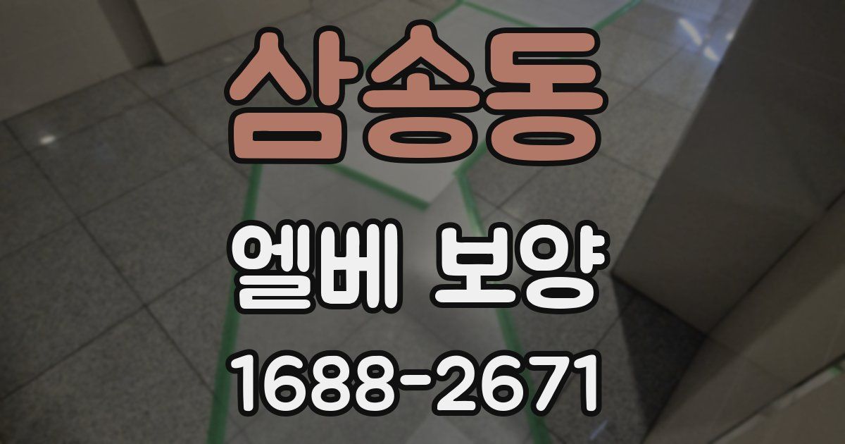 삼송동 엘베 보양