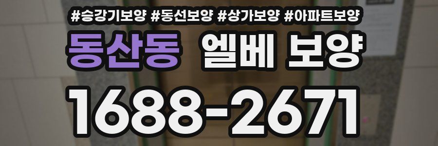 동산동 엘베 보양
