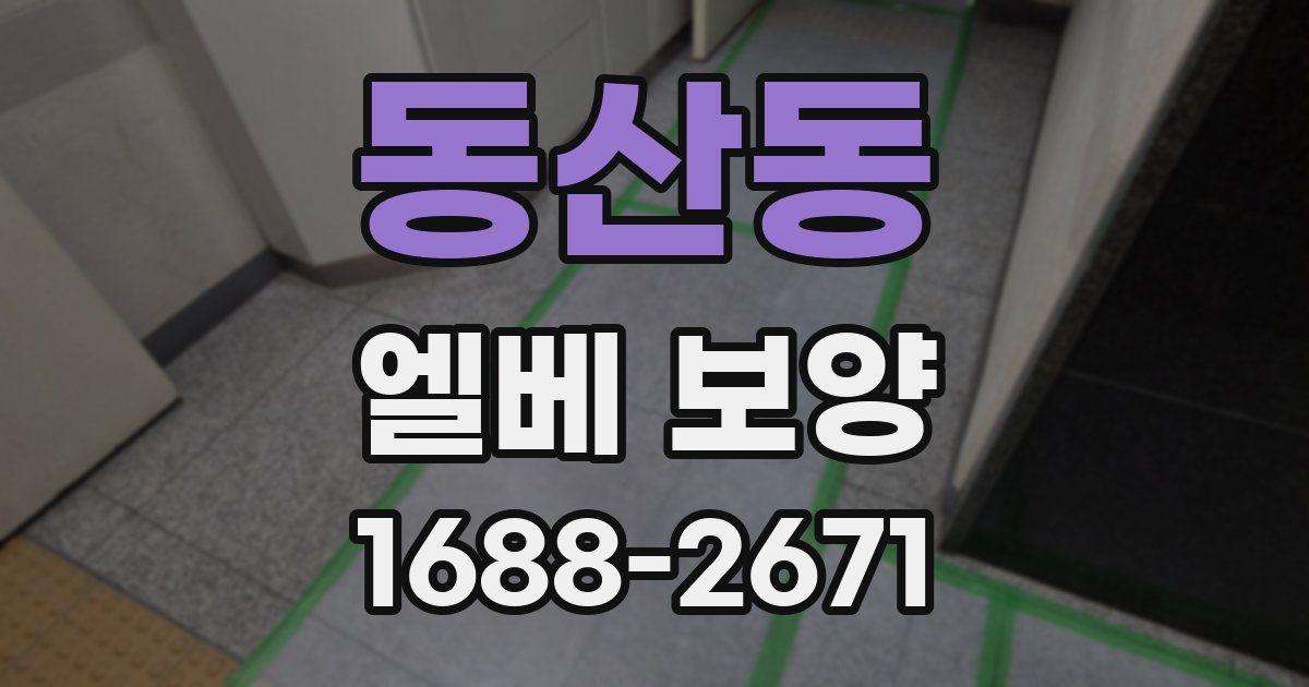 동산동 엘베 보양