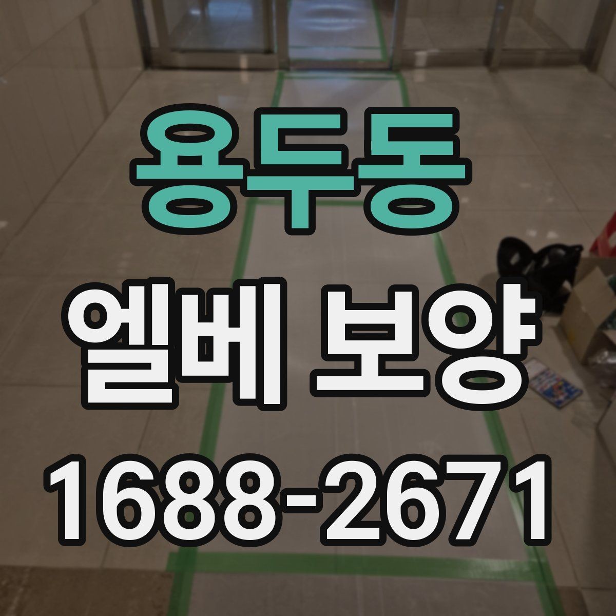 용두동 엘베 보양 공사 전후 꼭 확인할 구역 정리