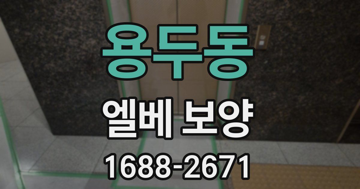 용두동 엘베 보양