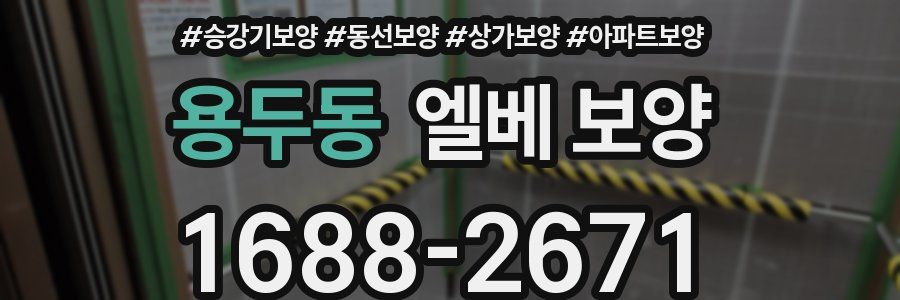 용두동 엘베 보양