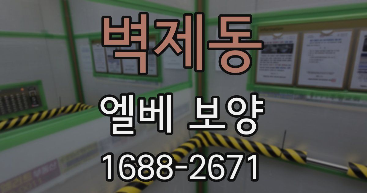 벽제동 엘베 보양