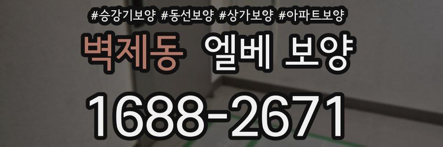 벽제동 엘베 보양