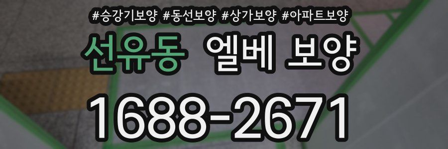 선유동 엘베 보양