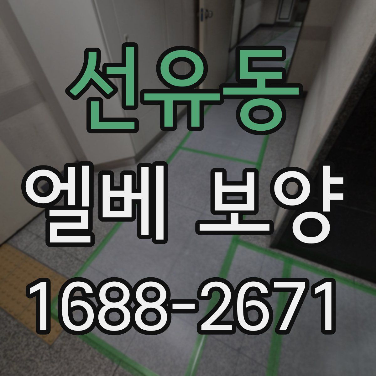 선유동 엘베 보양