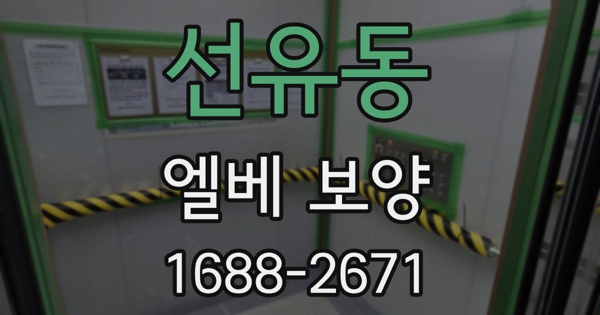 선유동 엘베 보양