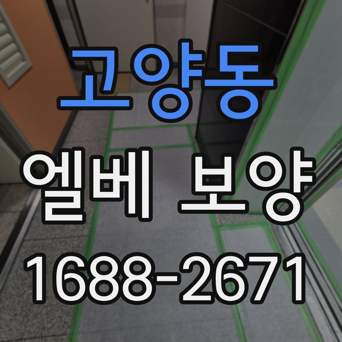 고양동 엘베 보양 장비 반입이 잦은 현장의 보호 범위 설정