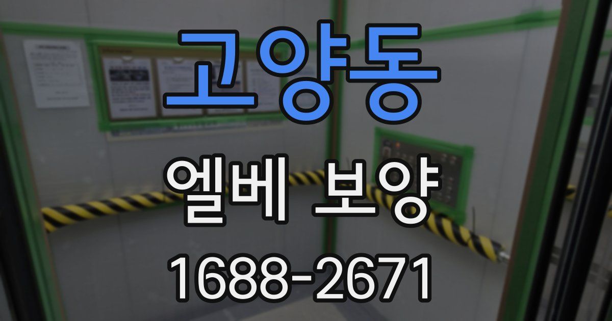 고양동 엘베 보양