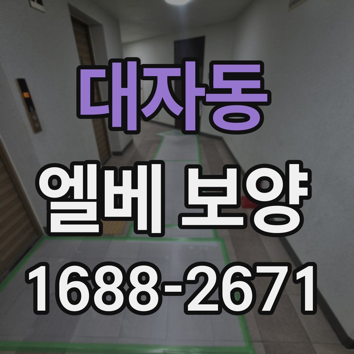 대자동 엘베 보양