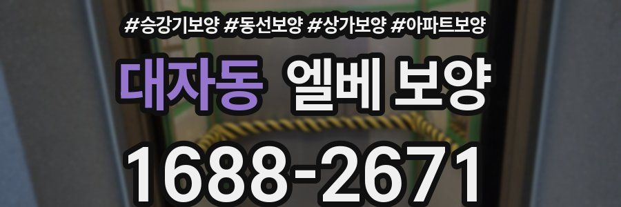 대자동 엘베 보양