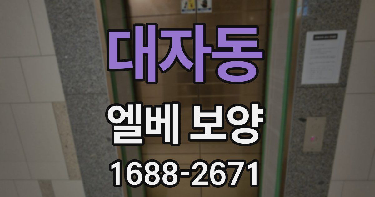 대자동 엘베 보양