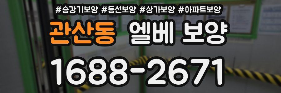 관산동 엘베 보양