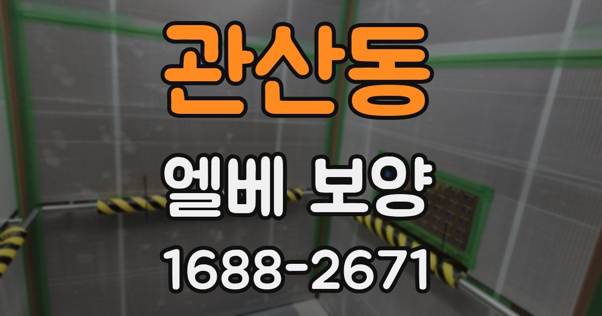 관산동 엘베 보양