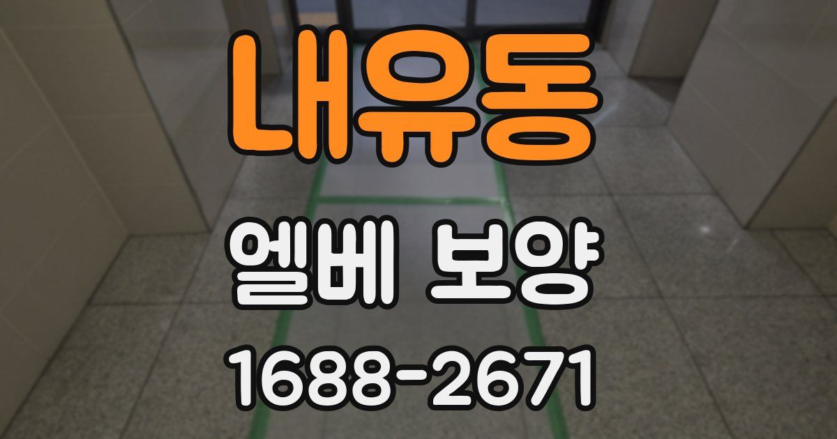 내유동 엘베 보양