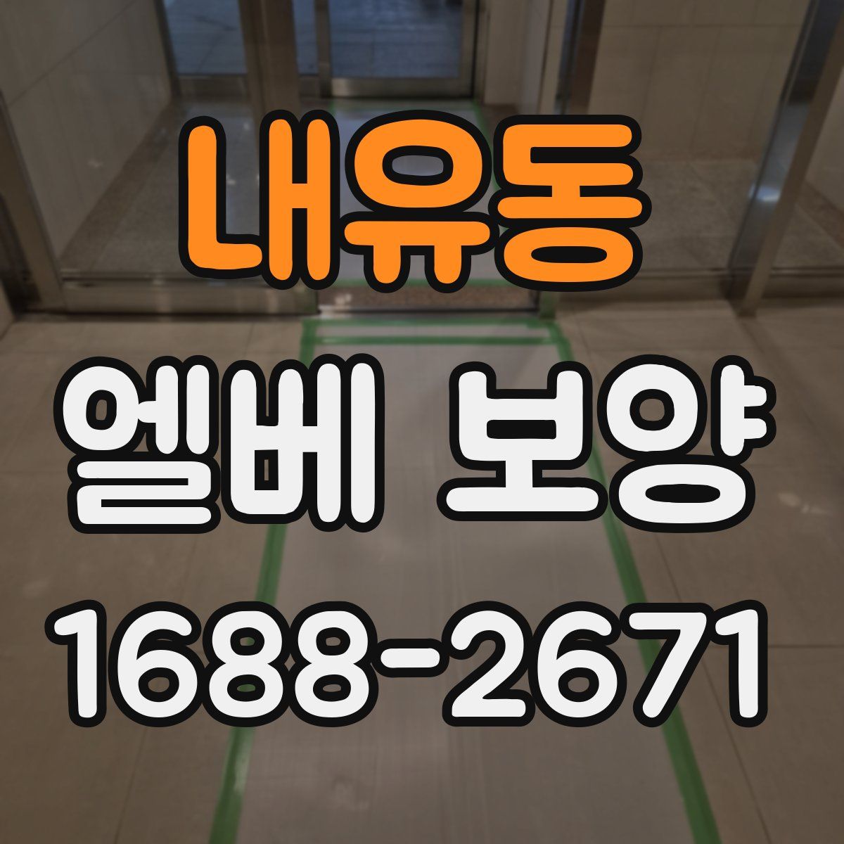 내유동 엘베 보양
