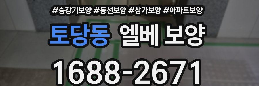 토당동 엘베 보양