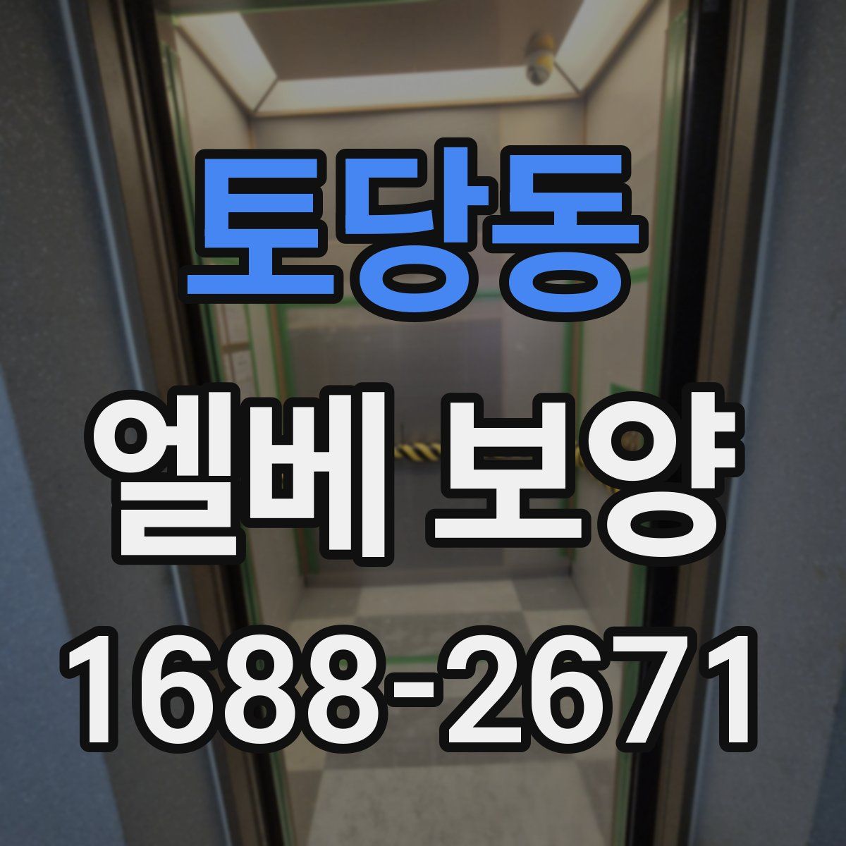 토당동 엘베 보양