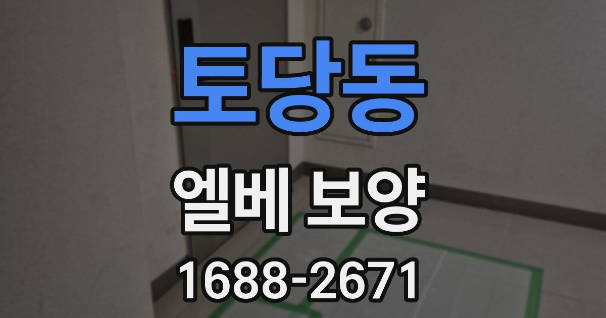 토당동 엘베 보양