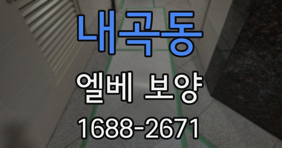 내곡동 엘베 보양