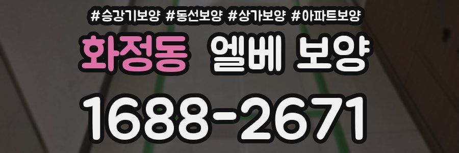 화정동 엘베 보양
