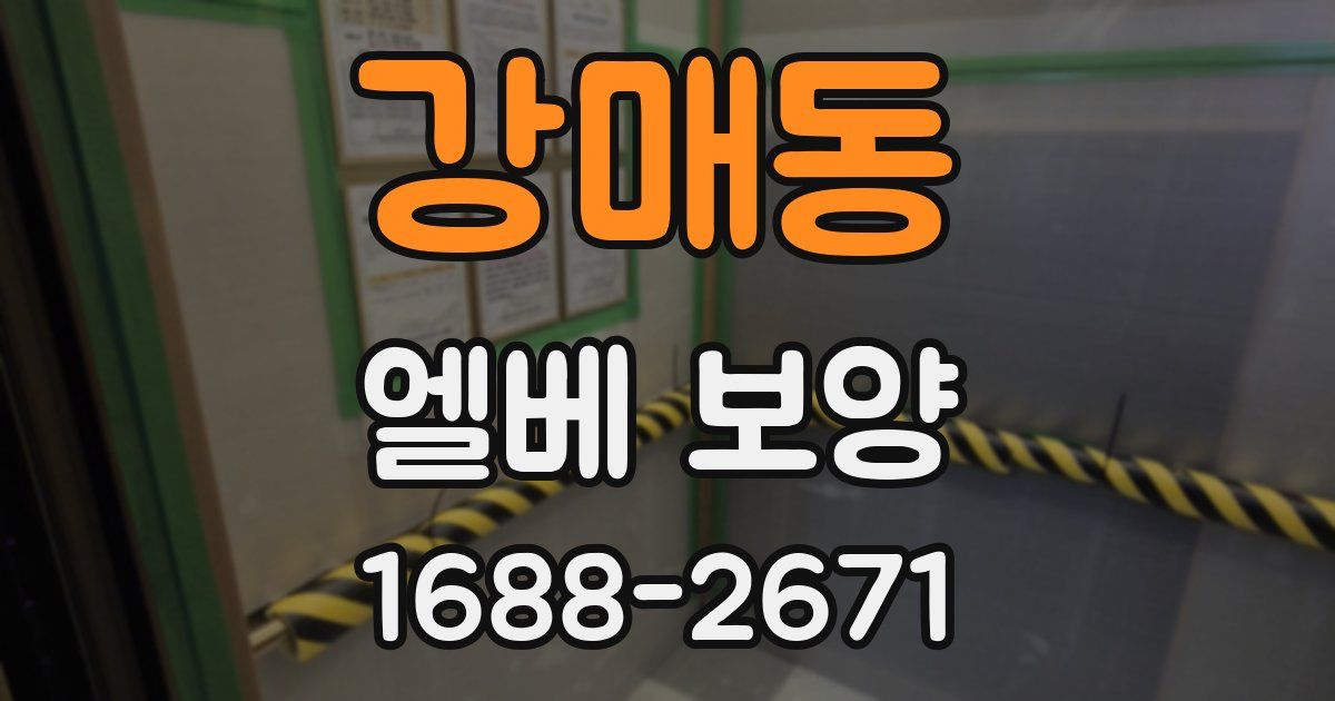 강매동 엘베 보양
