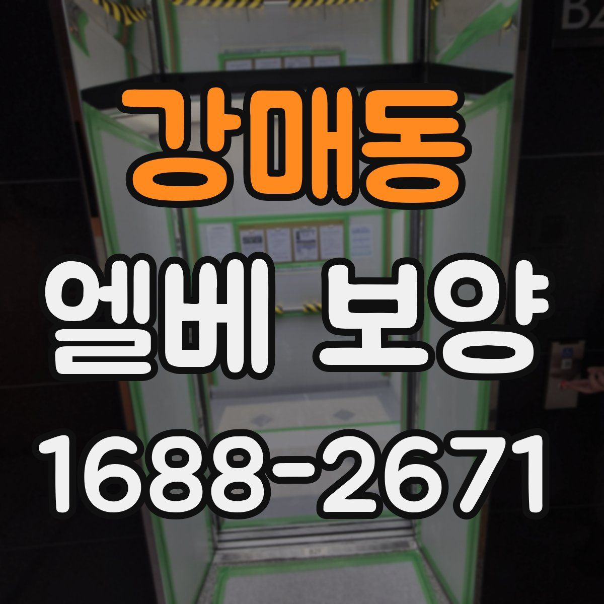 강매동 엘베 보양