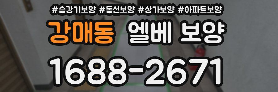 강매동 엘베 보양