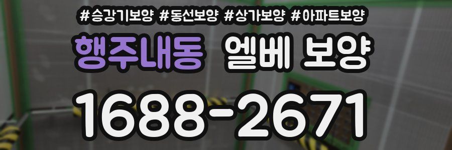 행주내동 엘베 보양