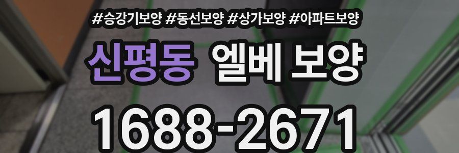 신평동 엘베 보양