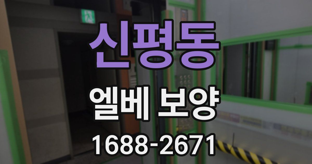 신평동 엘베 보양