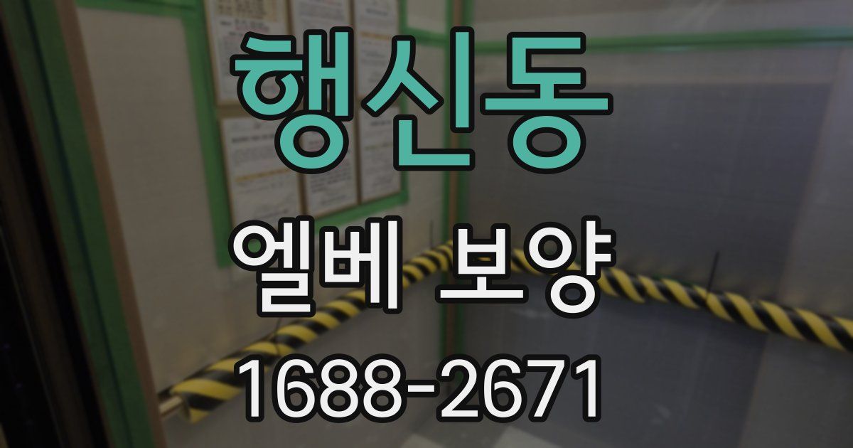 행신동 엘베 보양