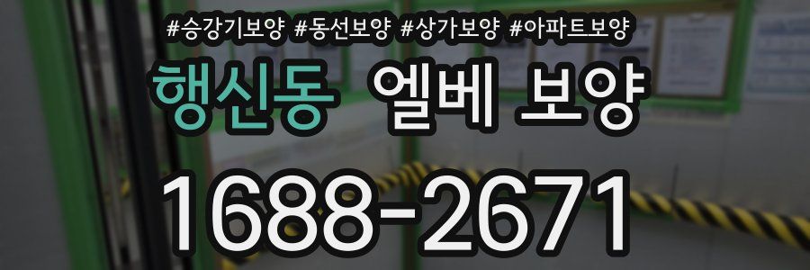 행신동 엘베 보양