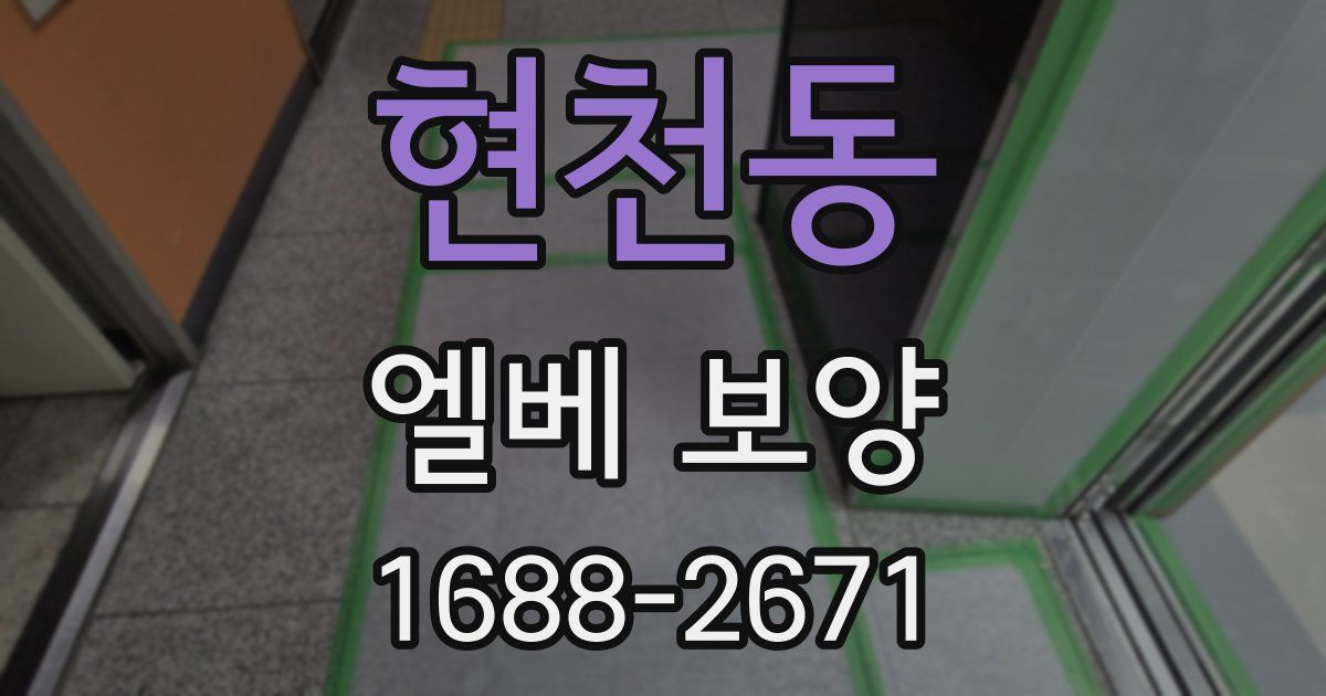 현천동 엘베 보양