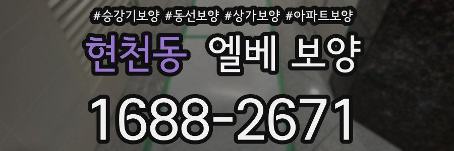 현천동 엘베 보양