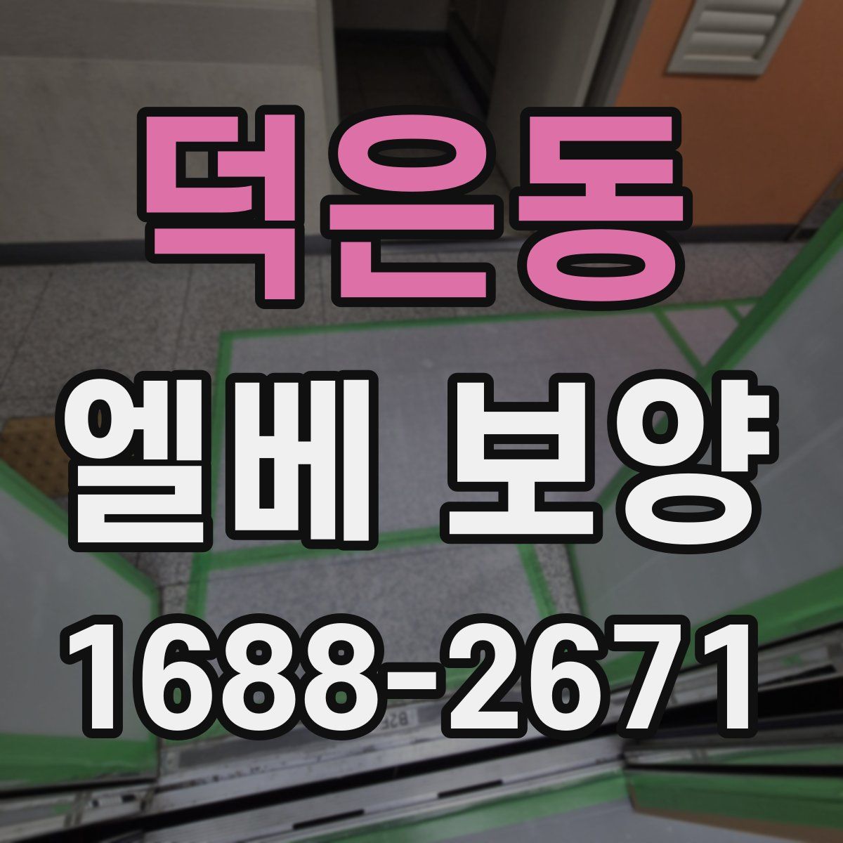 덕은동 엘베 보양