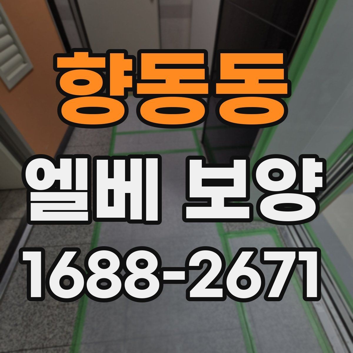 향동동 엘베 보양 후 원상복구 확인해야 할 부분