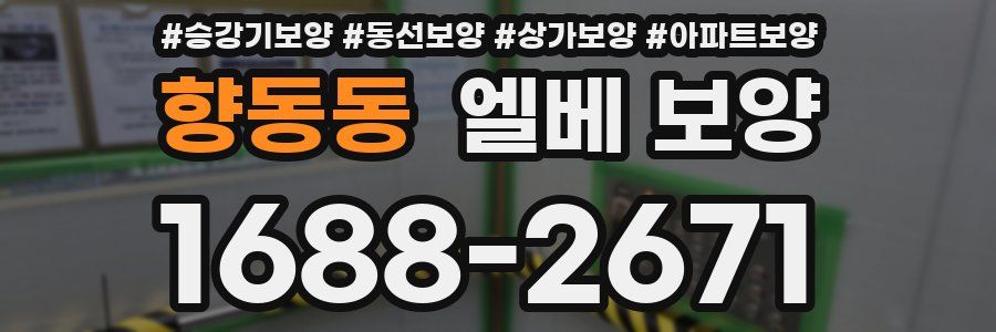 향동동 엘베 보양
