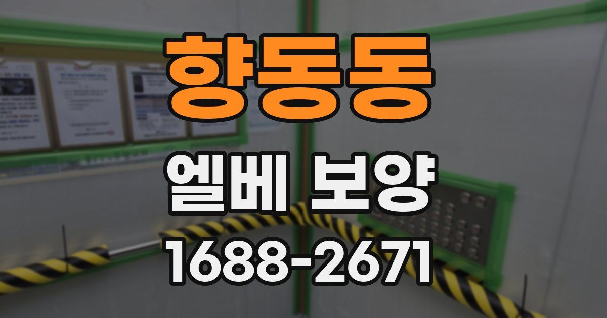 향동동 엘베 보양