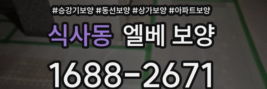 식사동 엘베 보양