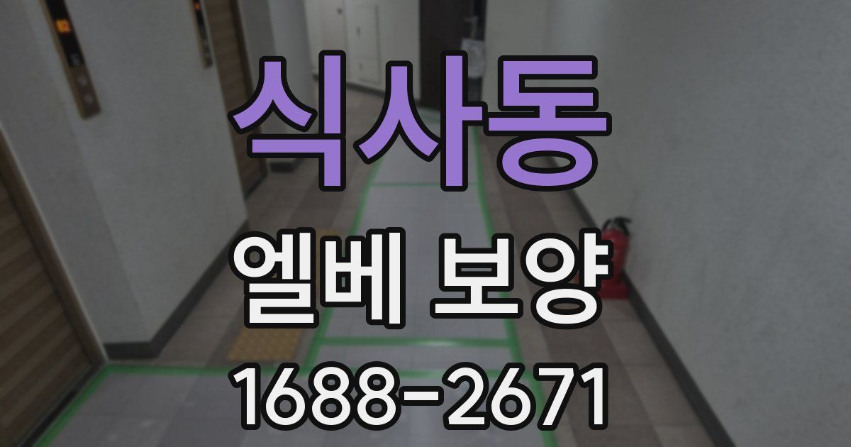 식사동 엘베 보양
